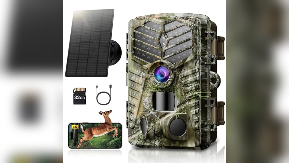 Best Trail Camera for Birds