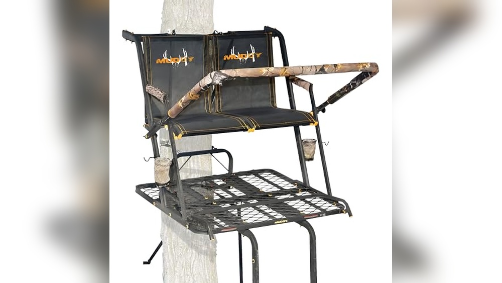 Best 2 Man Ladder Treestands