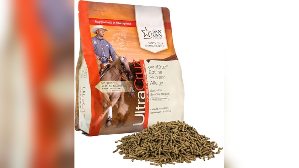Best Antihistamine for Horse Allergy