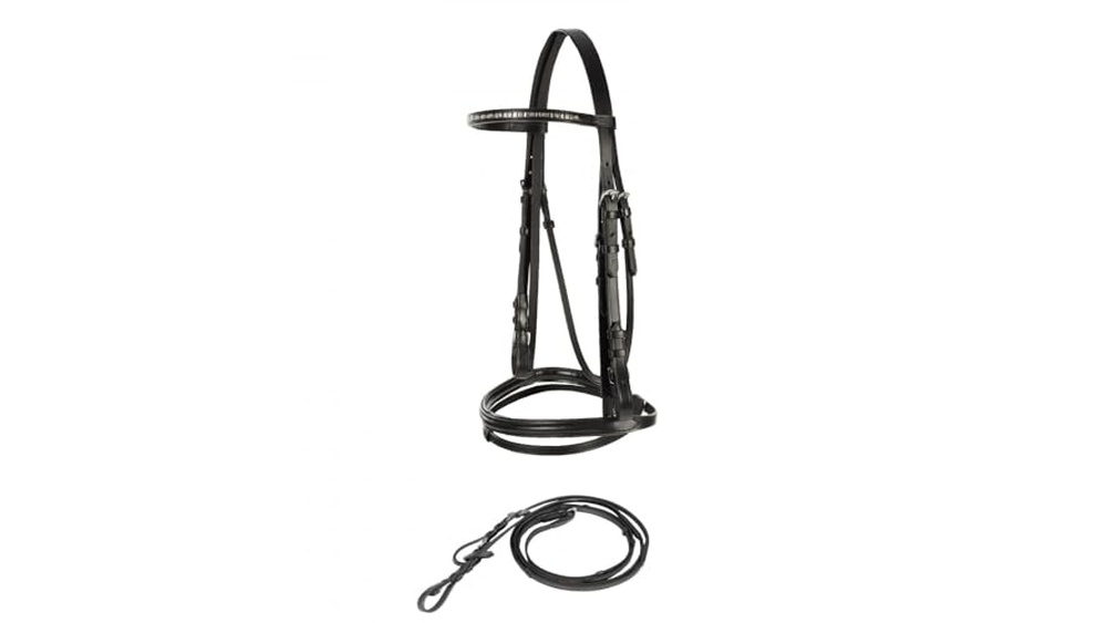 Best Bit for Jumping a High Headed Horse