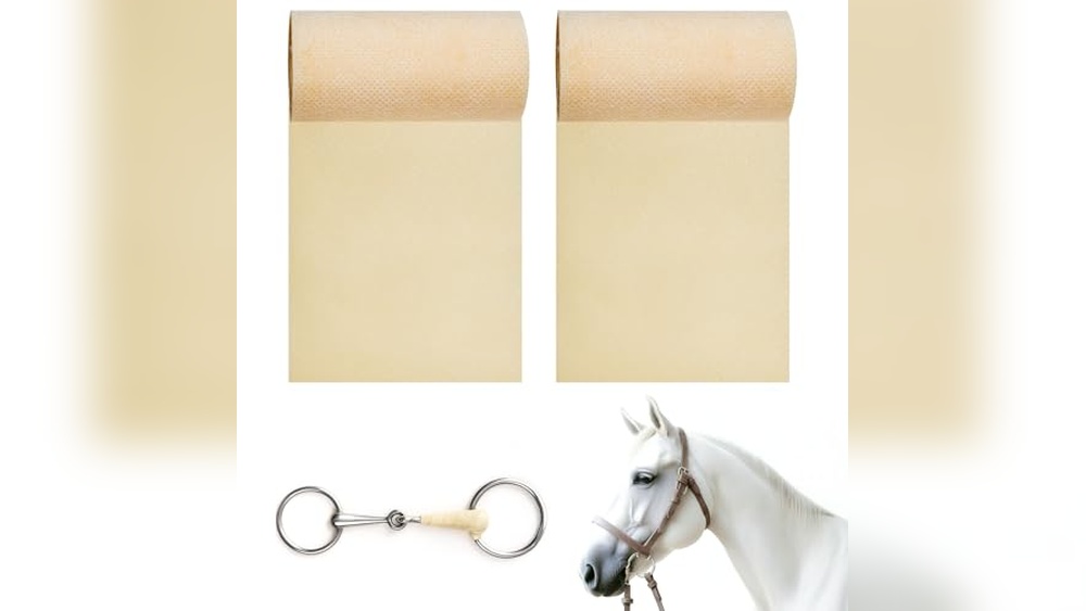 Best Bit for Mouth Sensitive Horse