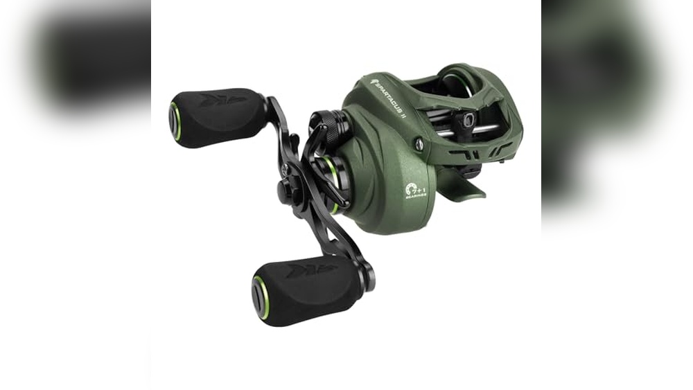 Best Bsil Casting Reels for Beginners