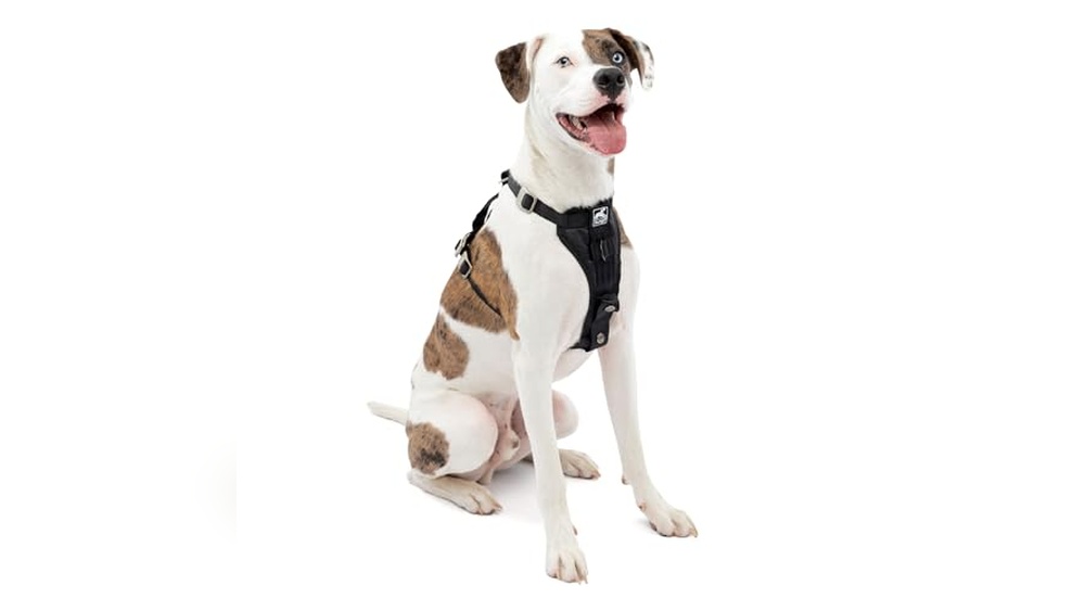 Best Crash Tested Dog Harness