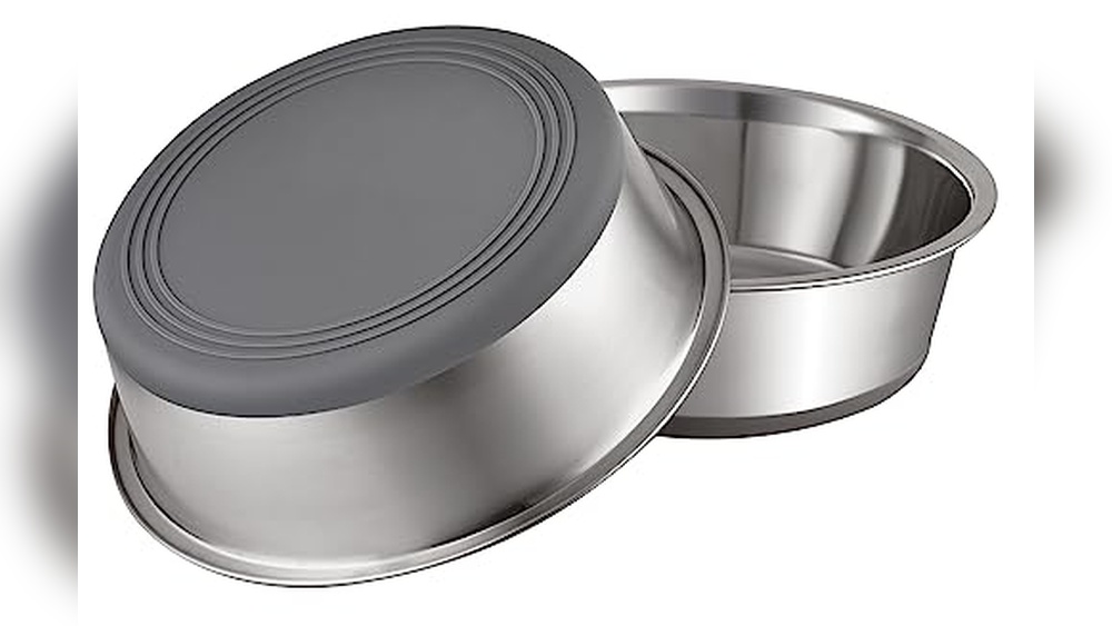 Best Dog Bowls for Wire Fox Terrier