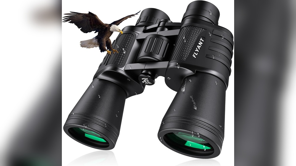 Best Binoculars for Plane Spotting
