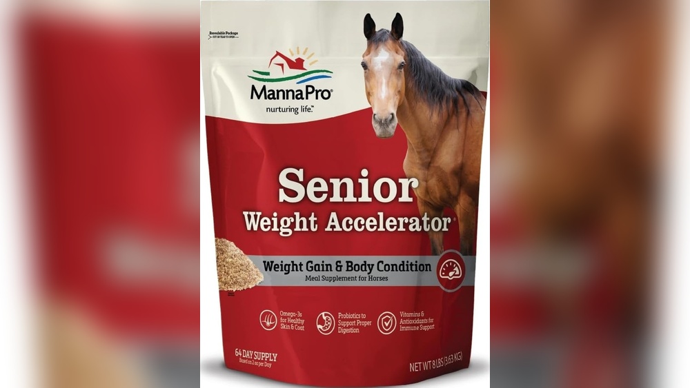 Best Feed for 4 Year Old Irish Sports Horse