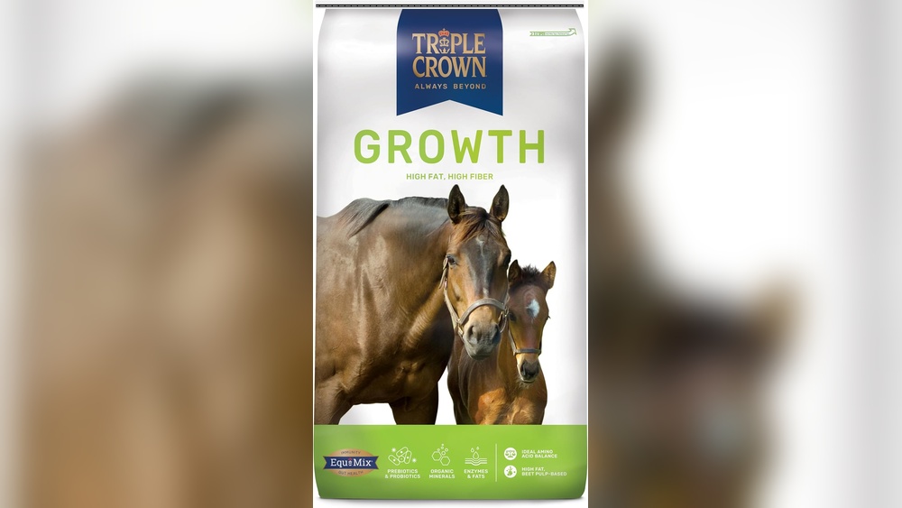 Best Feed for Malnourished Young Horses