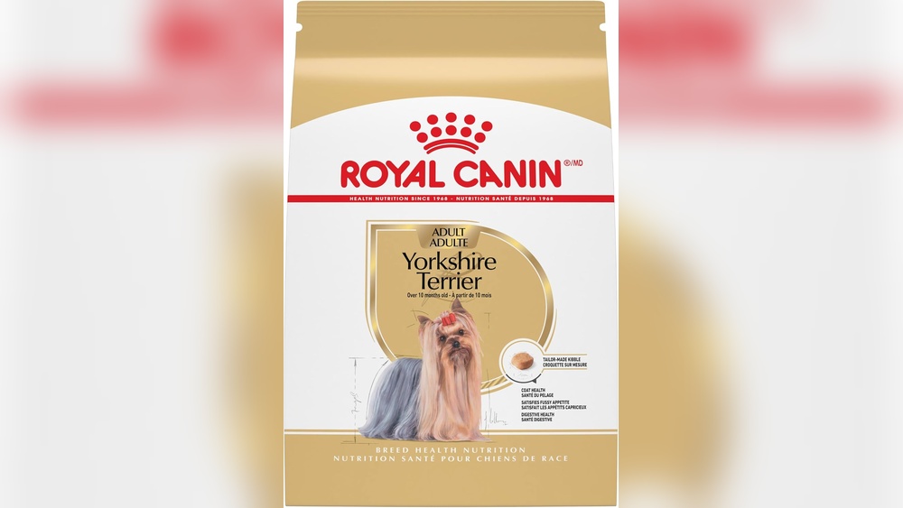 Best Food for Border Terriers