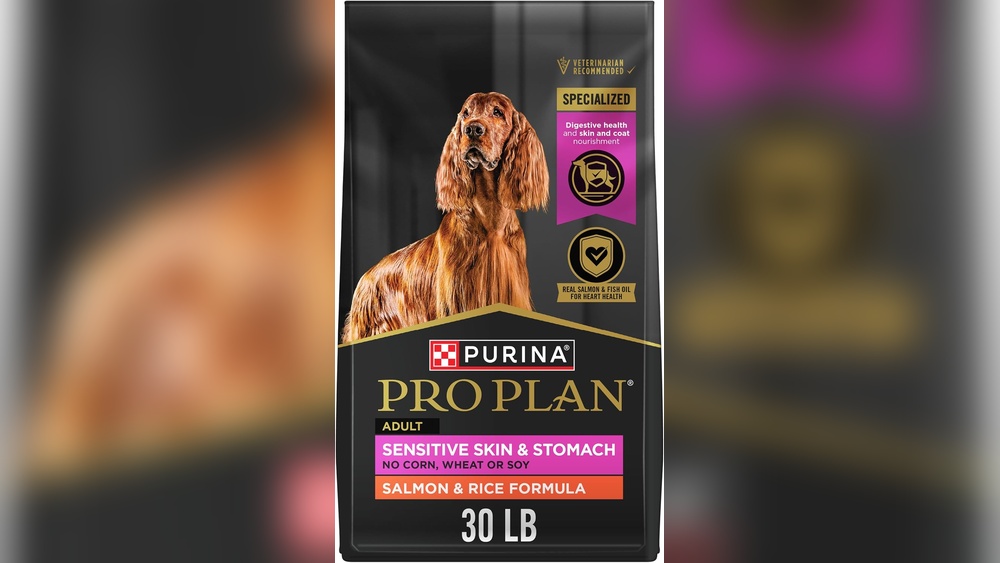 Best Food for Rough Collie Dogs Sensitive Stomach