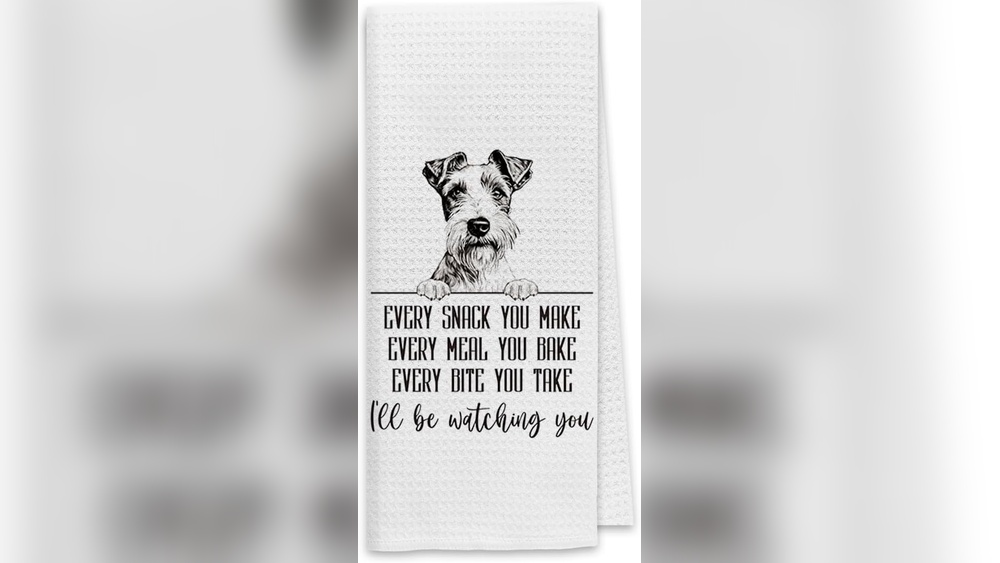Best Food Wire Fox Terrier