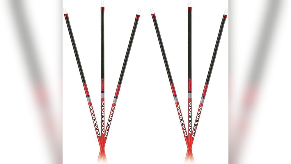 Best Hunting Arrows for Elk
