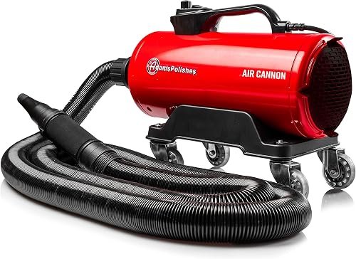 Adam's Polishes Air Cannon