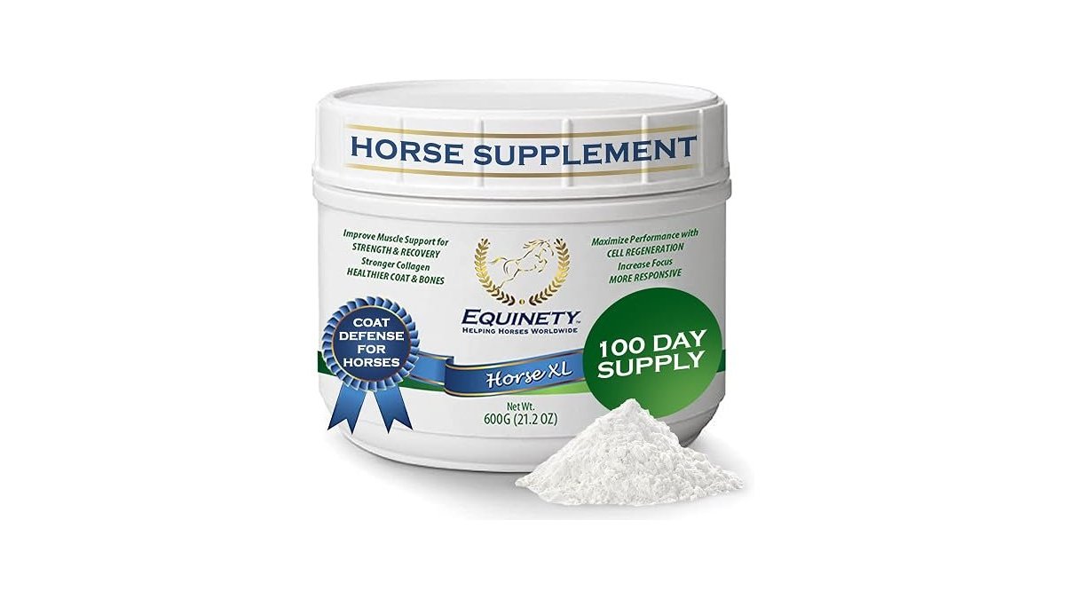 Equinety Horse XL